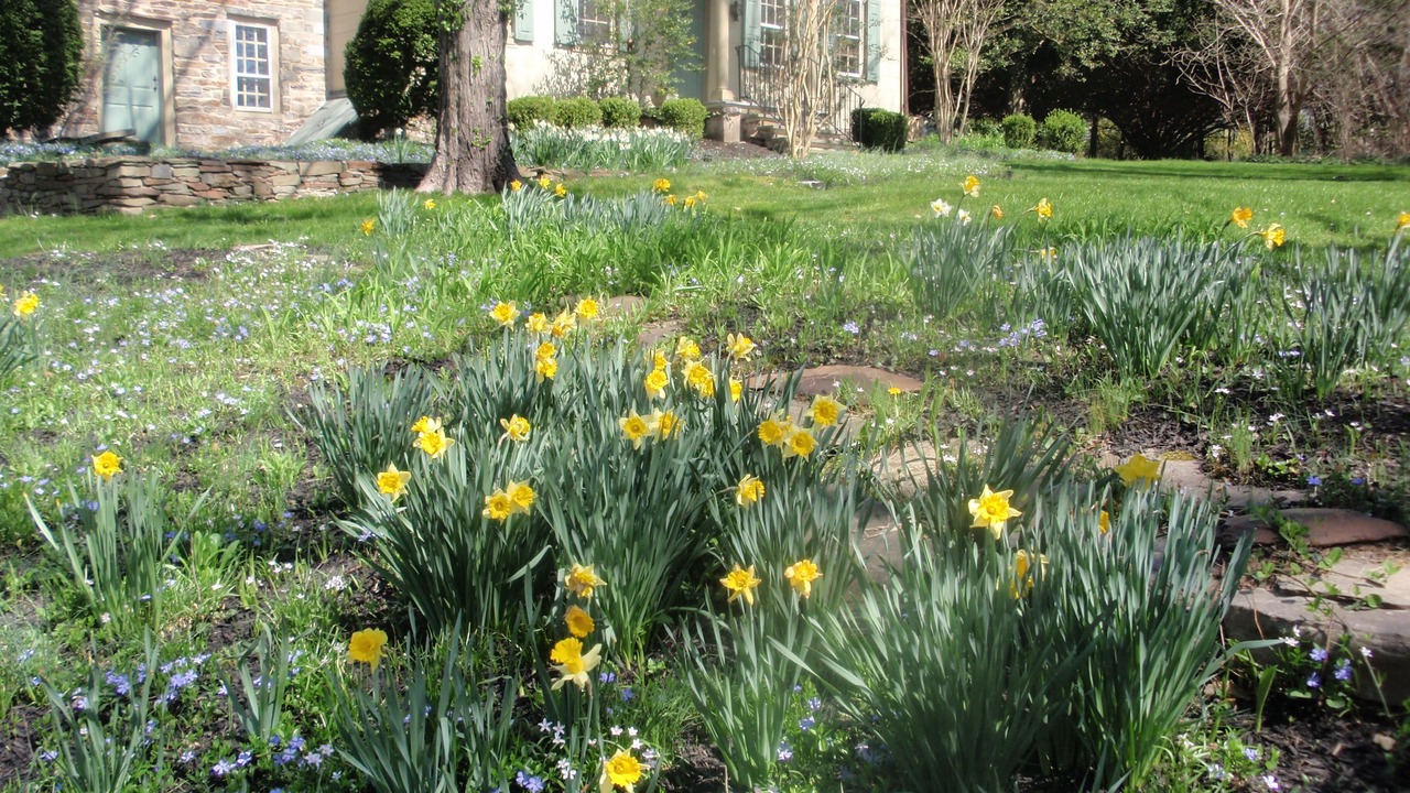 Photo of Outdoor in Princeton