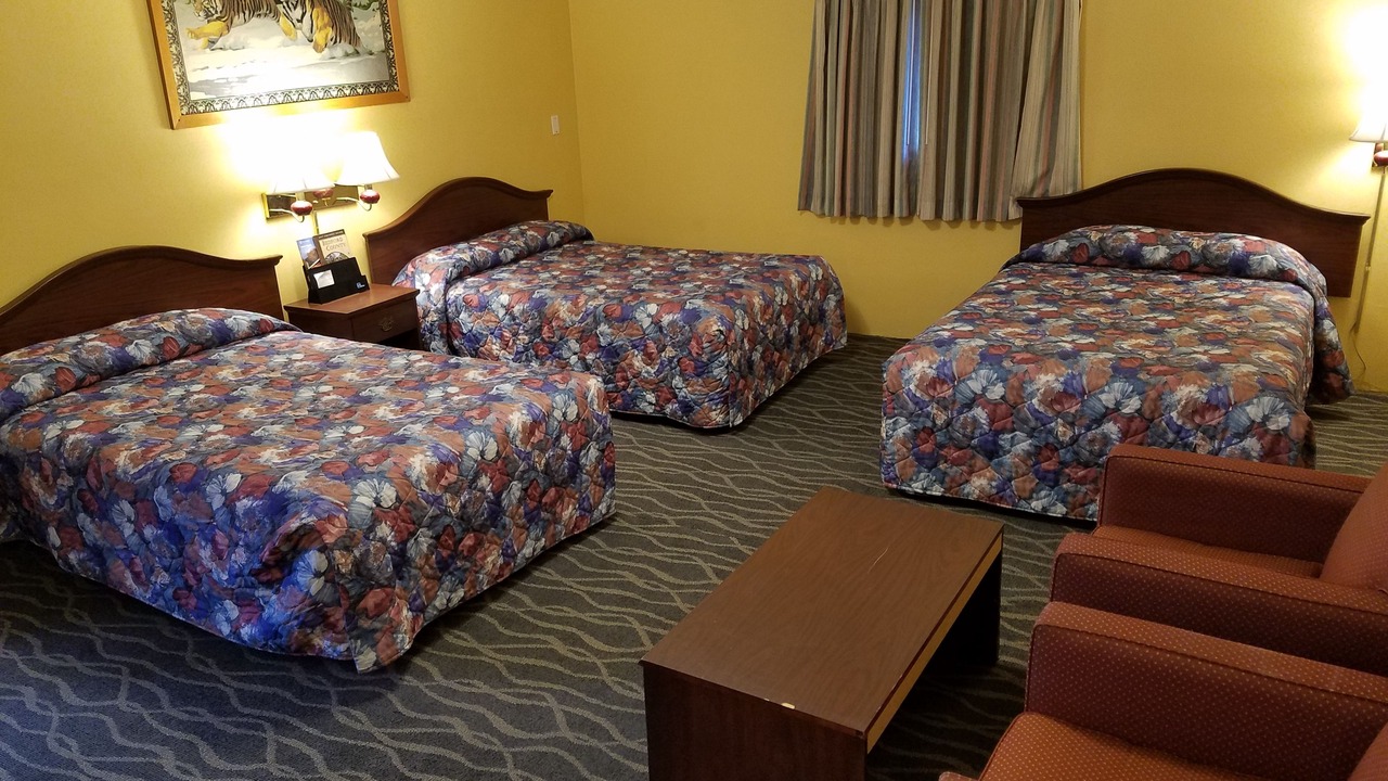Photo of Bedroom in Bedford