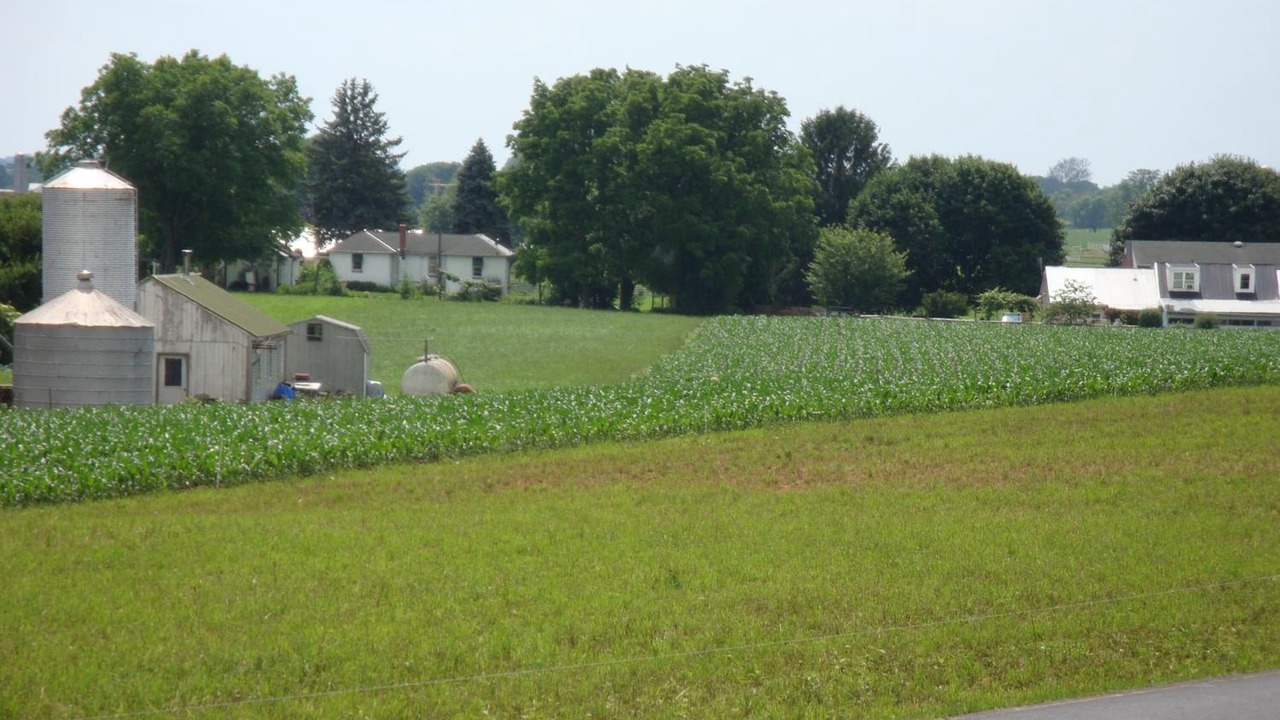 Photo of Outdoor in Ronks