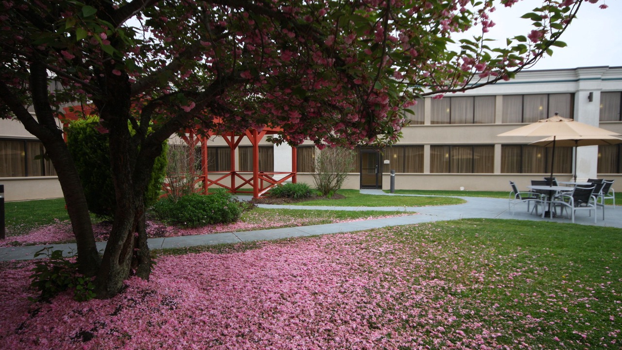 Photo of Others in Hazlet