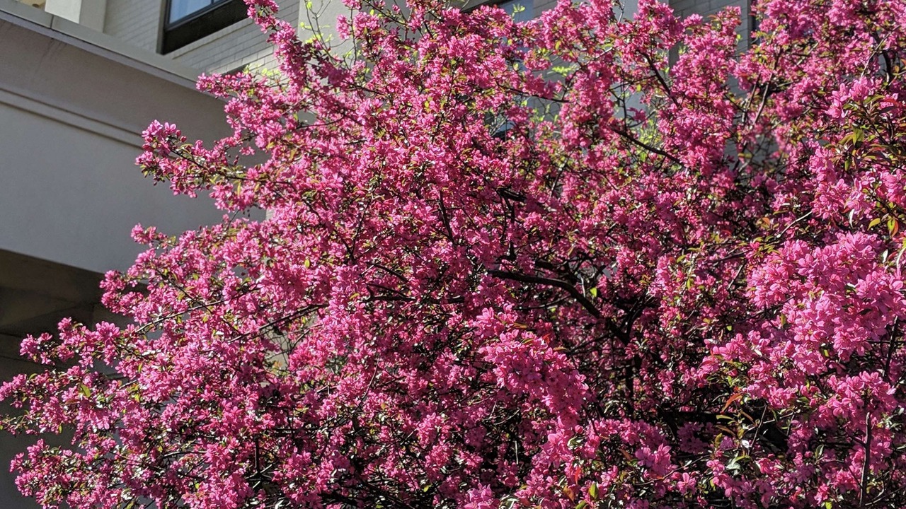 Photo of Outdoor in West Chester