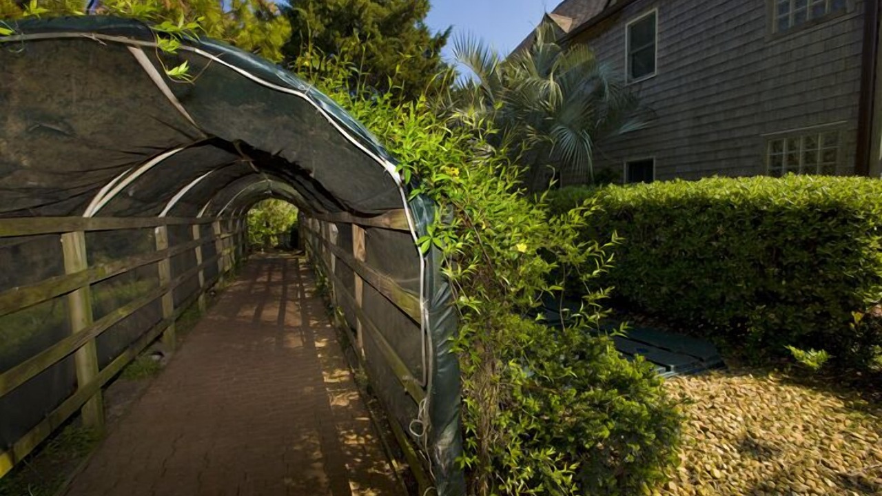 Photo of Outdoor in Ocracoke
