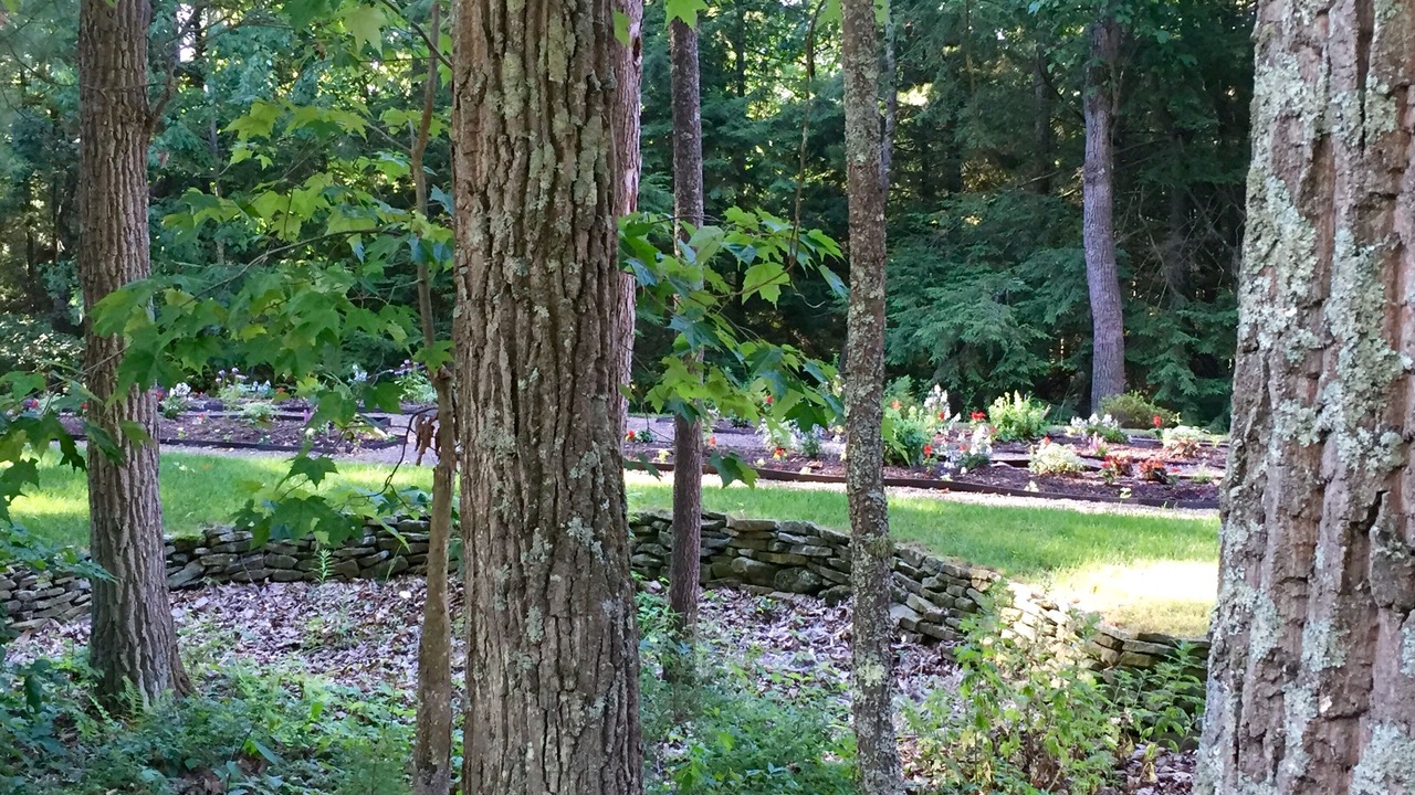 Photo of Outdoor in Williamsport