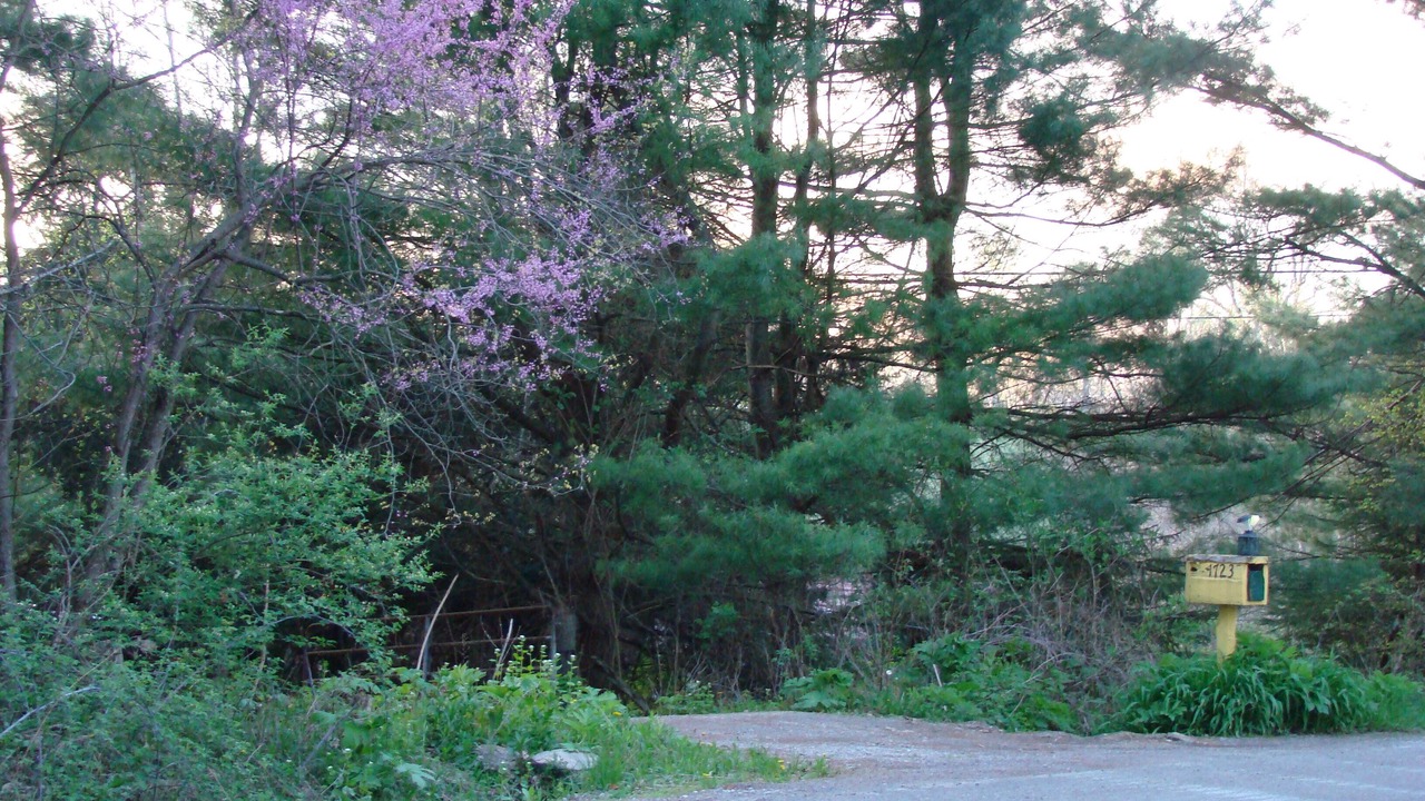 Photo of Outdoor in Fort Hill