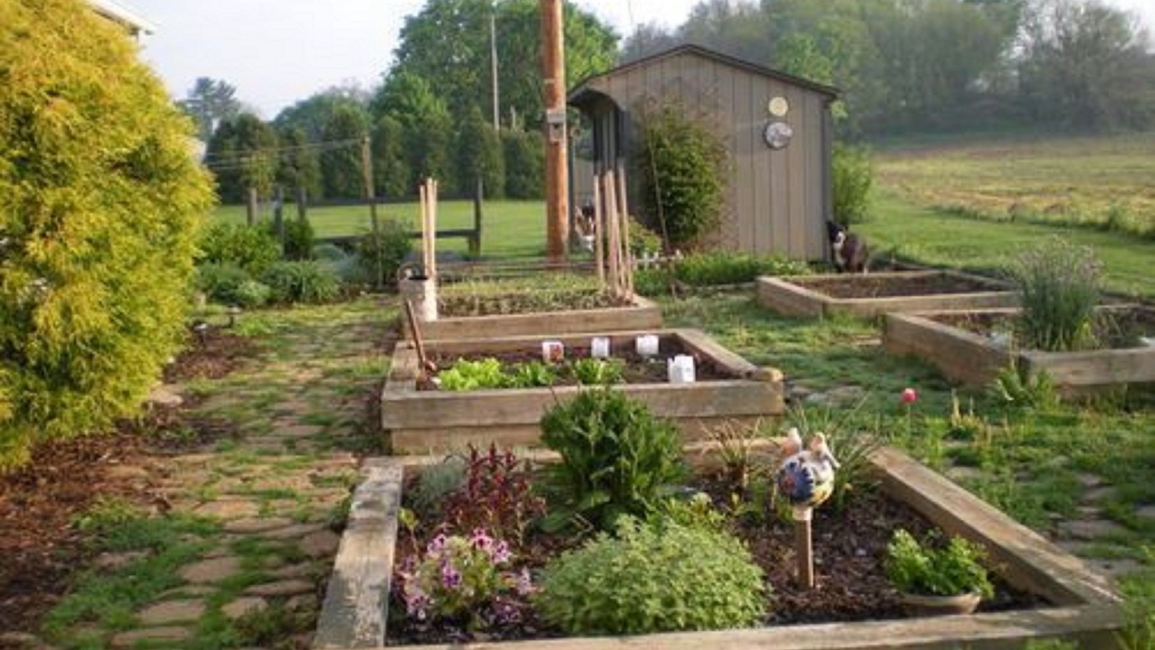 Photo of Outdoor in Carlisle