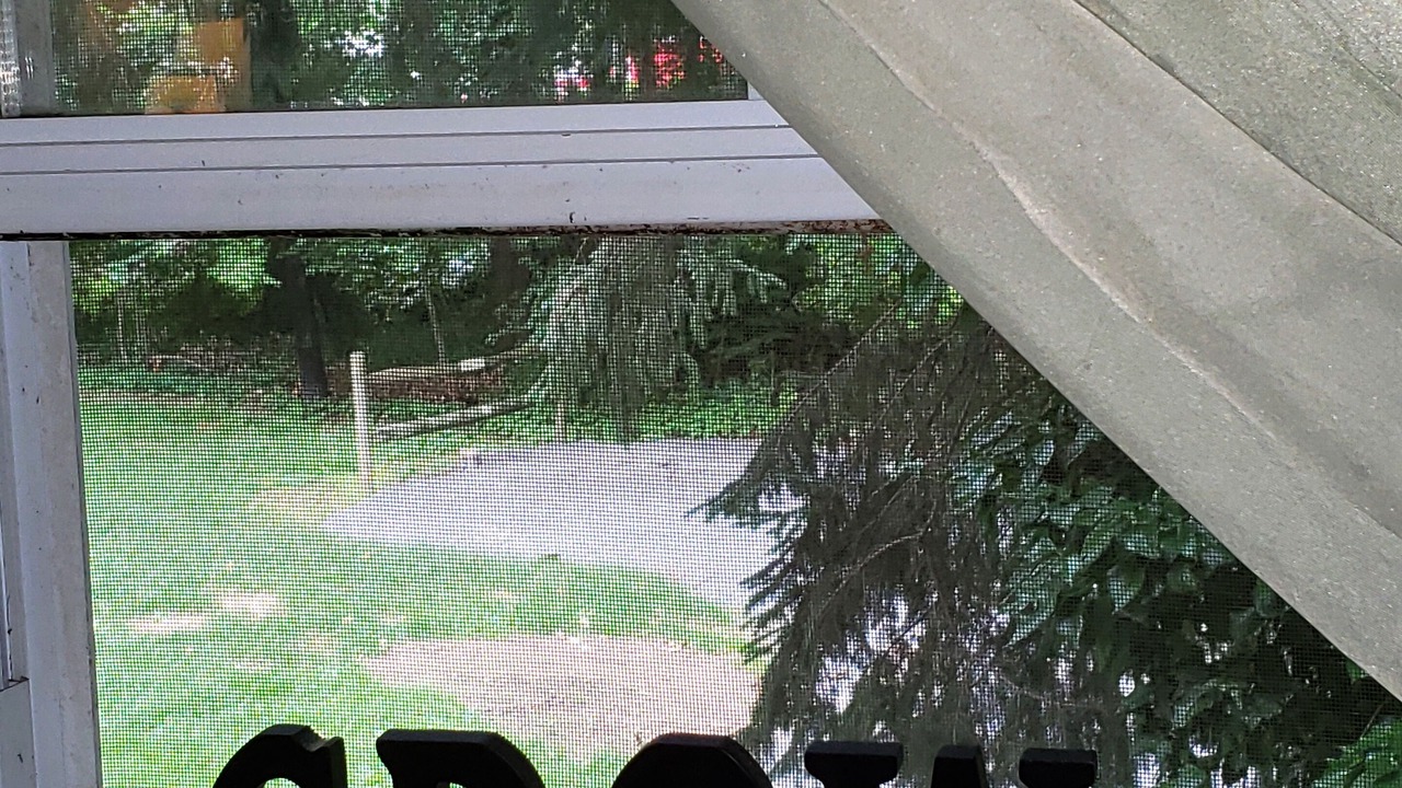 Photo of Outdoor in Fort Loudon