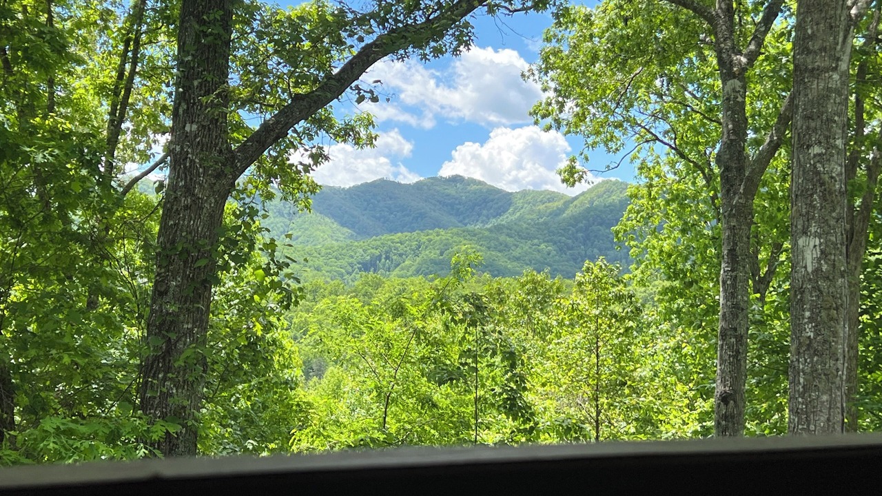 Photo of Others in Bryson City
