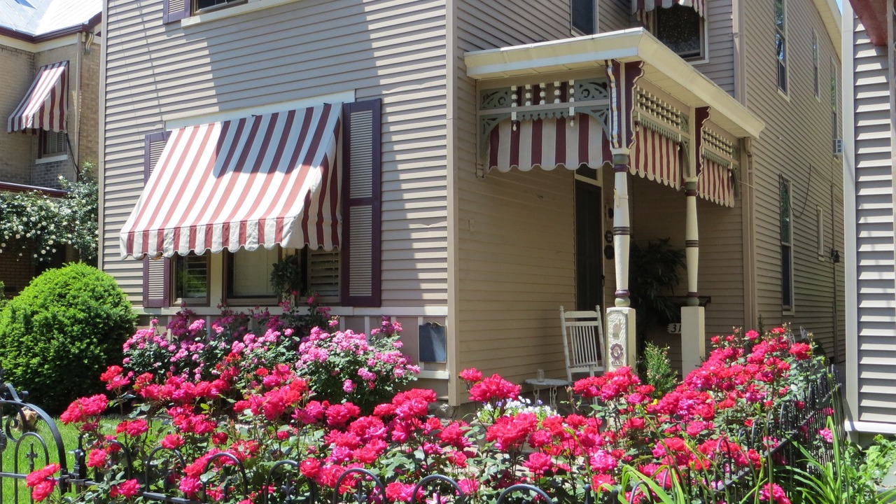 Photo of Outdoor in Bellevue