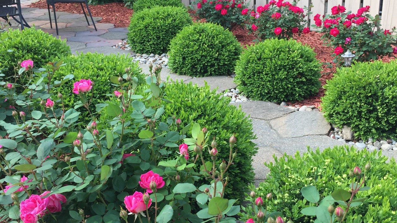 Photo of Outdoor in Bellevue