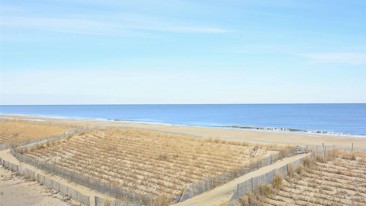 Photo of Others in South Bethany