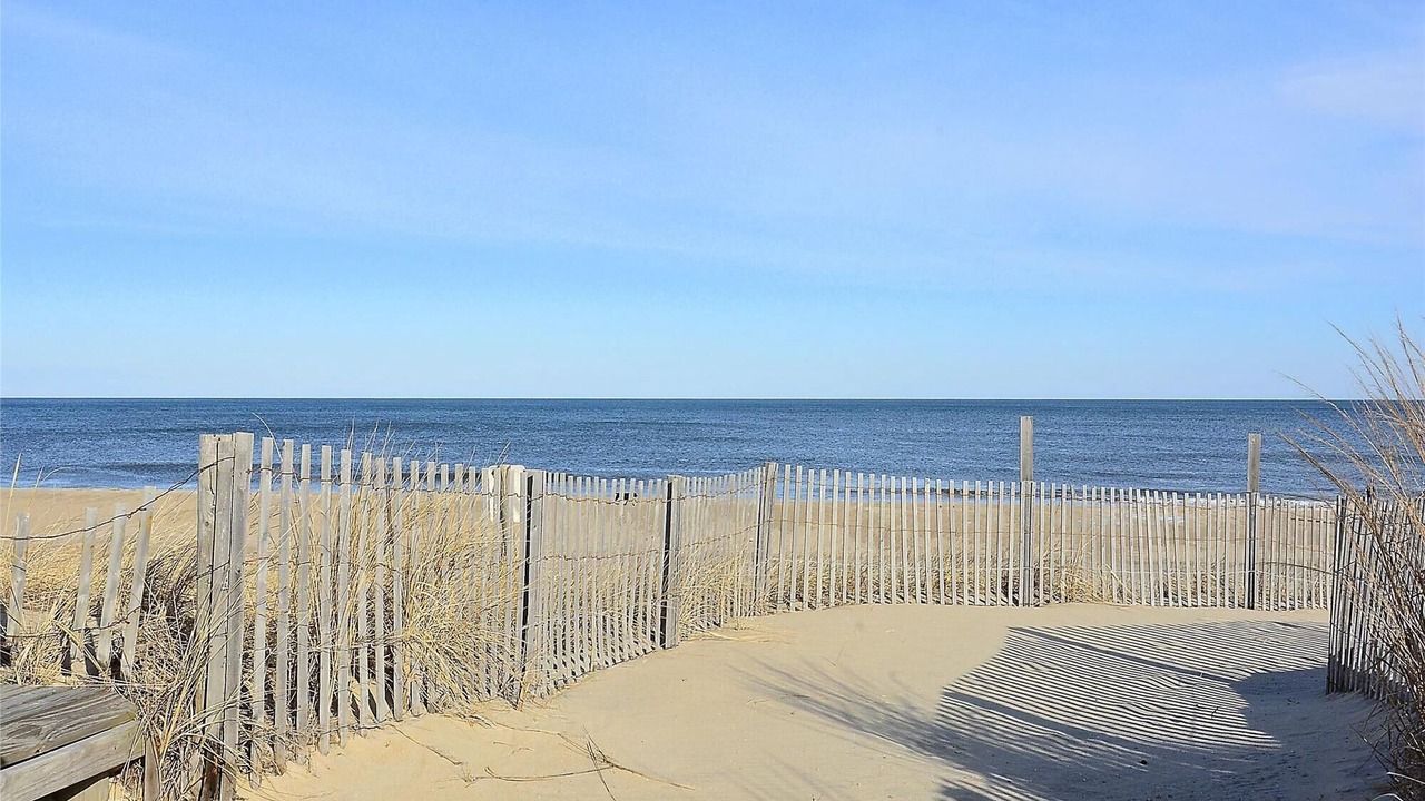 Photo of Others in South Bethany