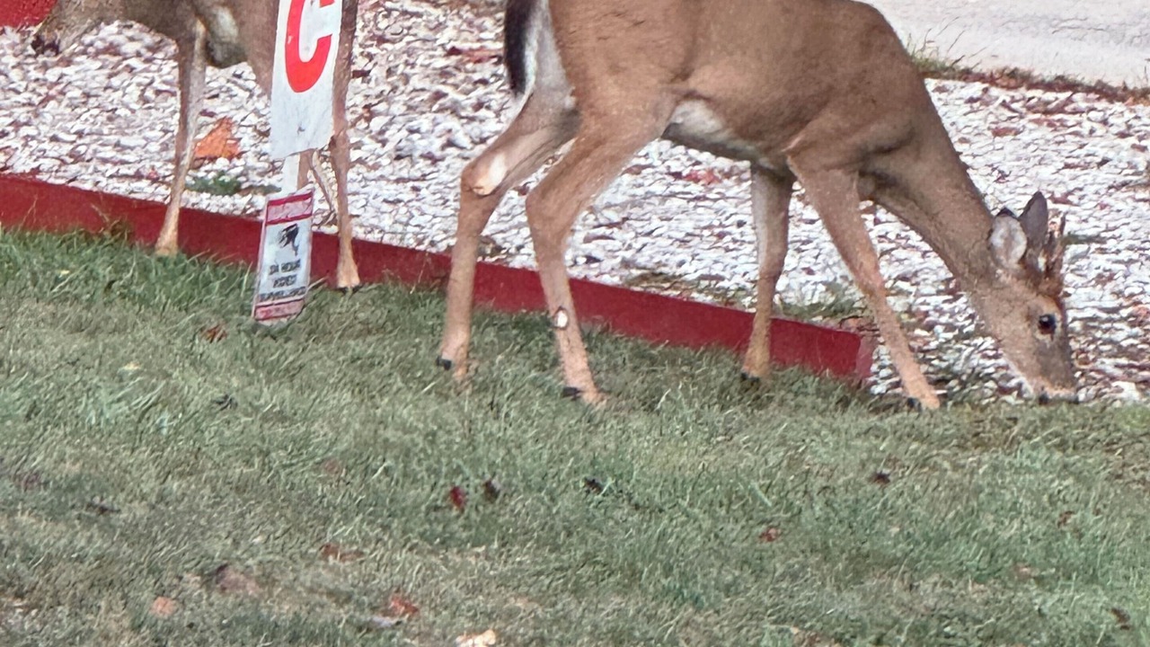 Photo of Outdoor in Huntington