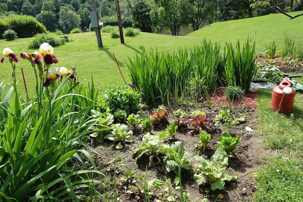 Photo of Outdoor in Kennerdell
