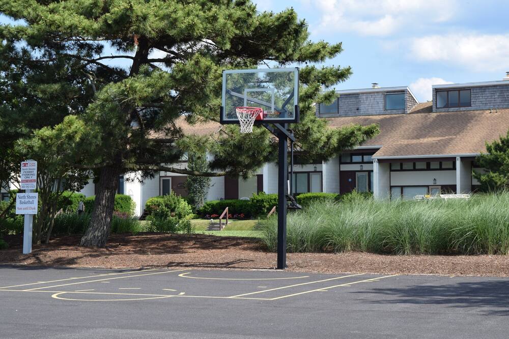Photo of Others in North Shores
