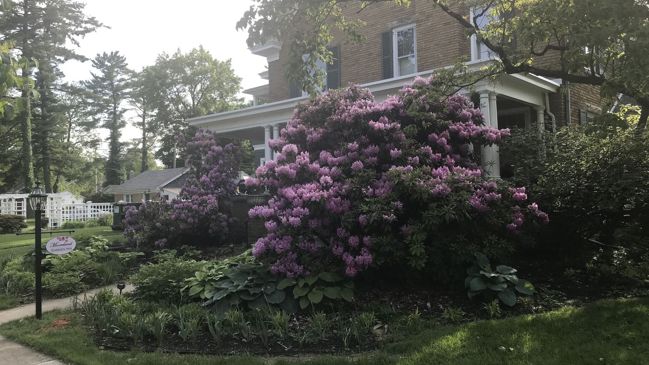 Photo of Outdoor in Carlisle