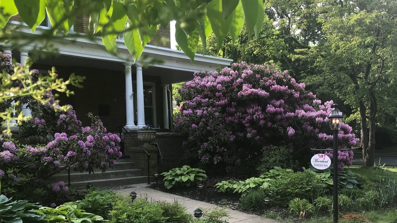 Photo of Outdoor in Carlisle