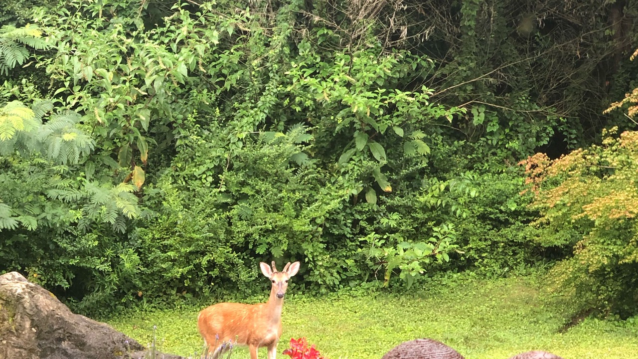 Photo of Outdoor in Clinton