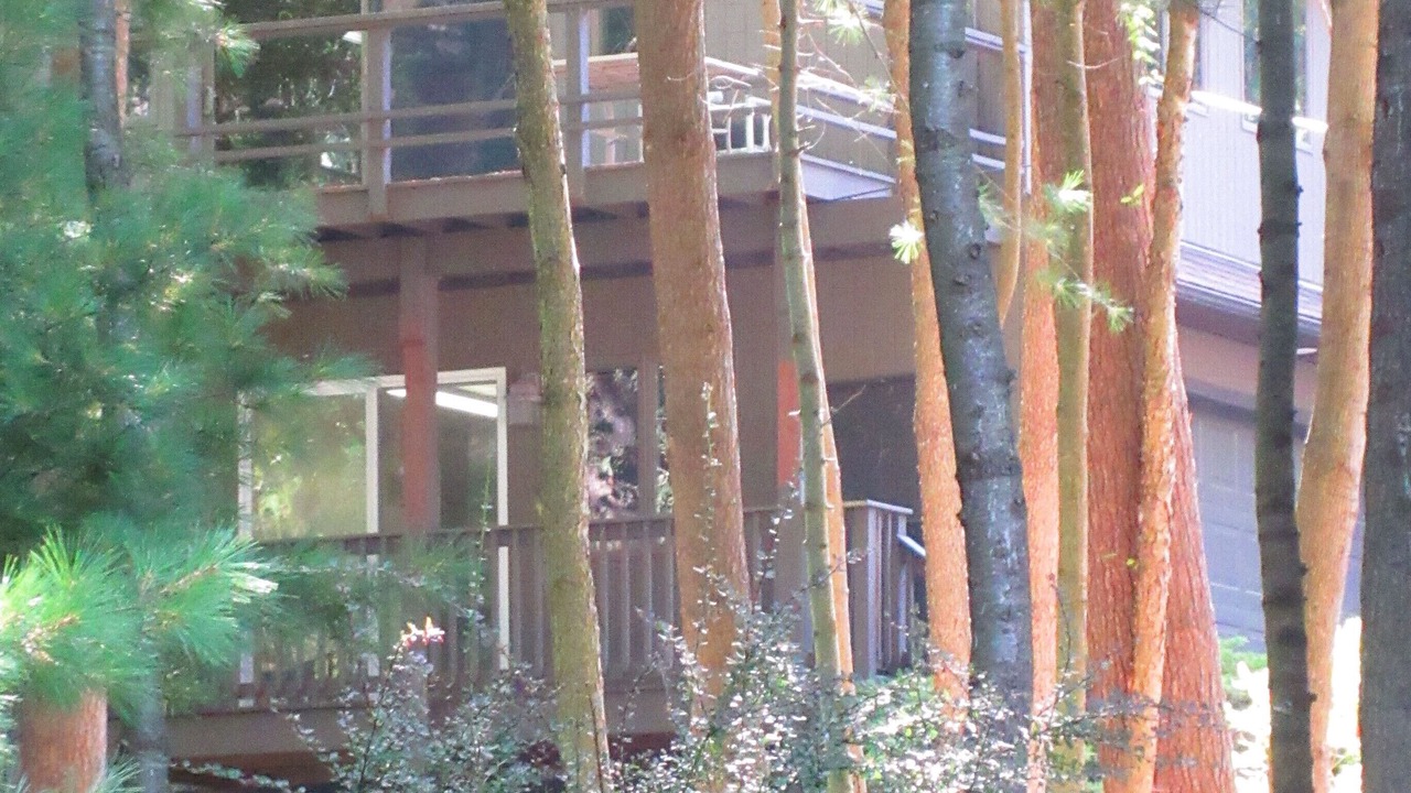 Photo of Outdoor in Tafton