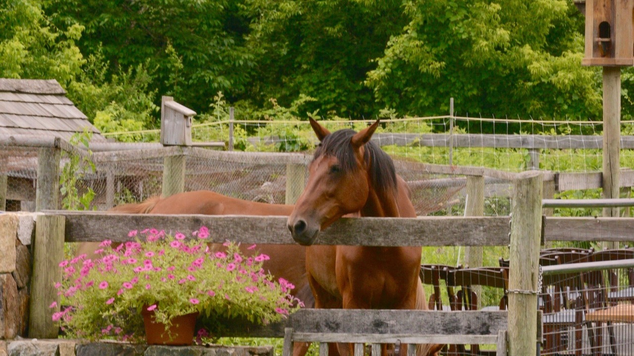 Photo of Outdoor in Kent