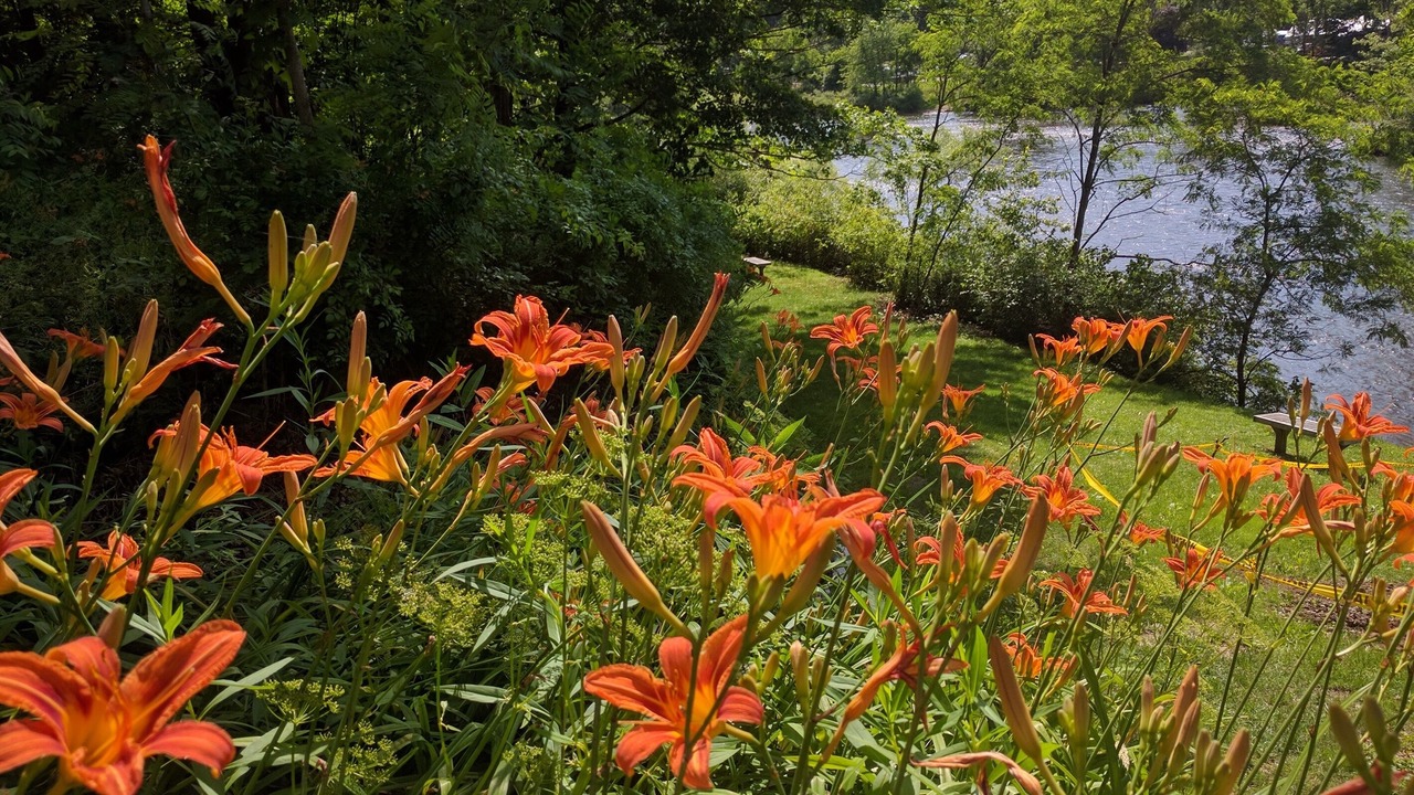 Photo of Outdoor in Confluence