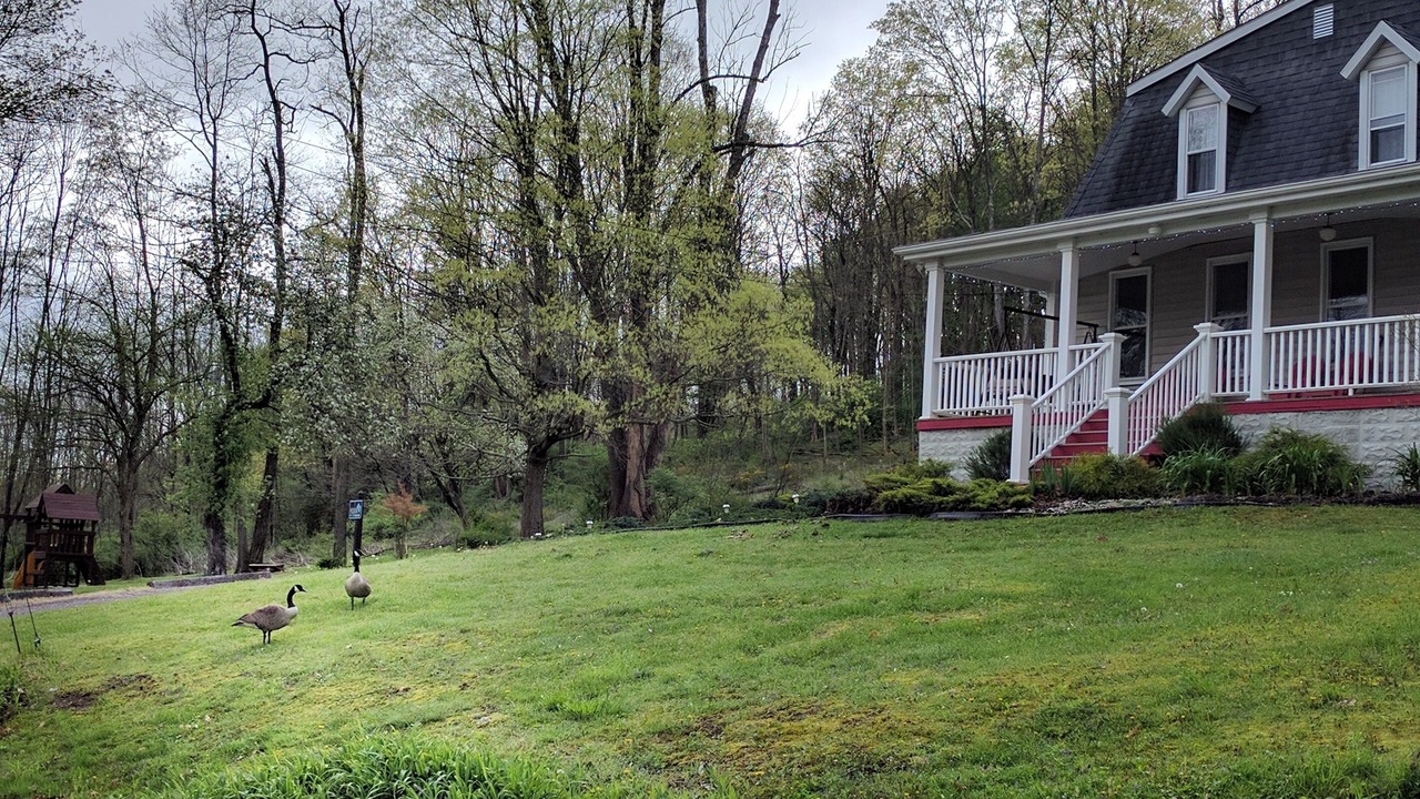 Photo of Outdoor in Confluence