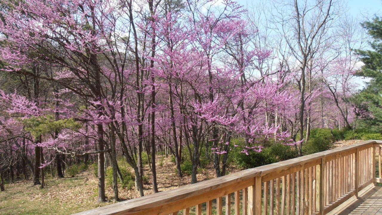 Photo of Outdoor in Lost River