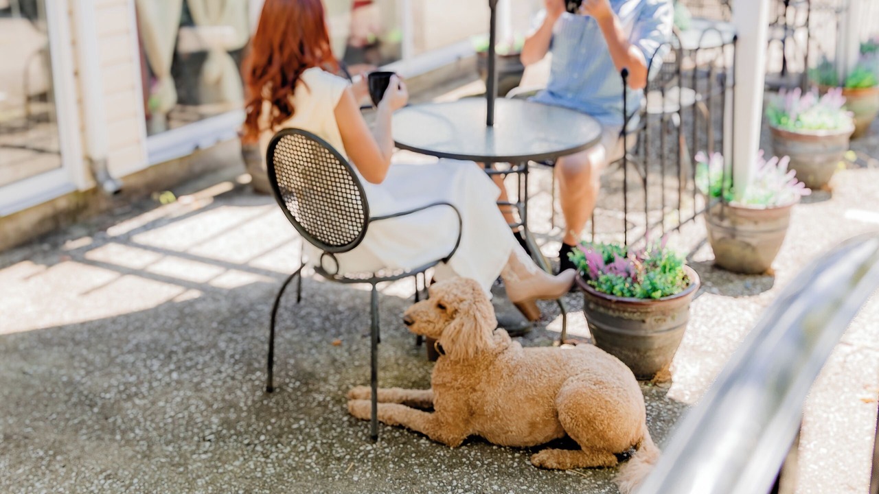 Photo of Outdoor in Versailles