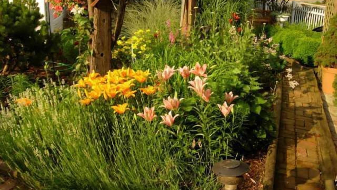 Photo of Outdoor in Palmyra