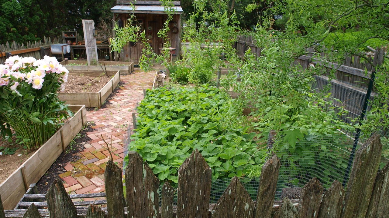 Photo of Outdoor in Palmyra