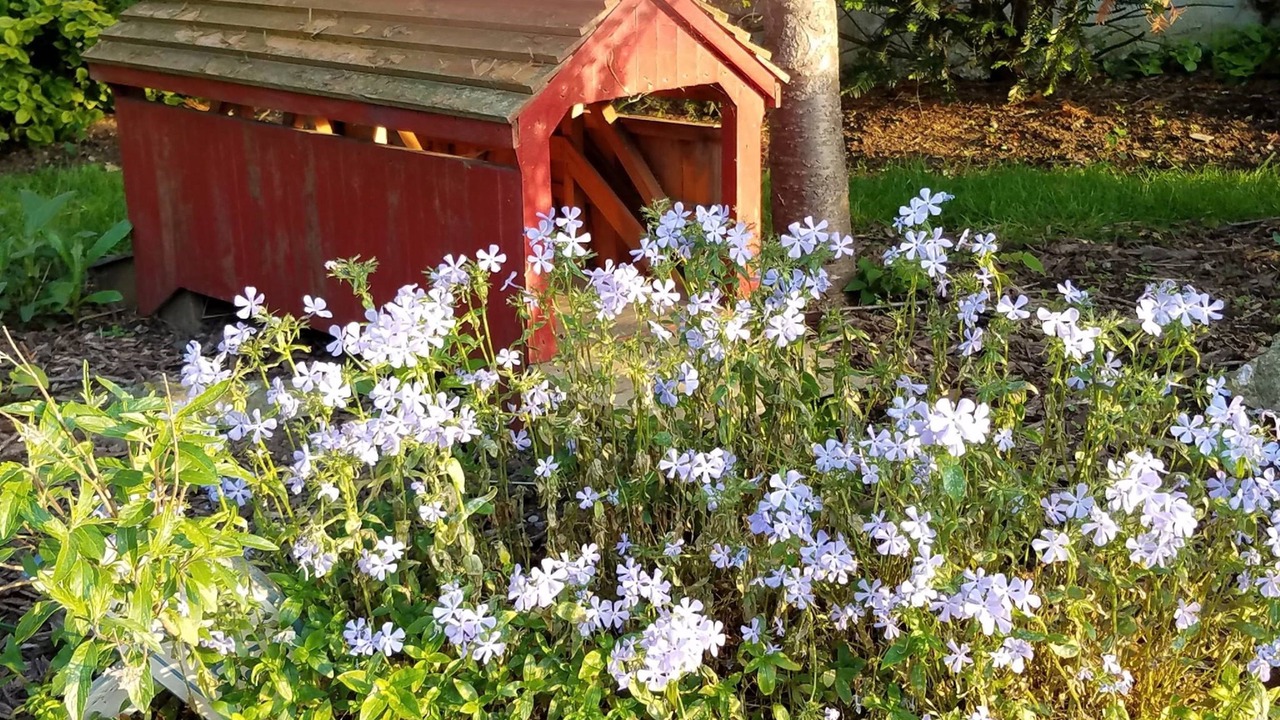 Photo of Outdoor in Gordonville