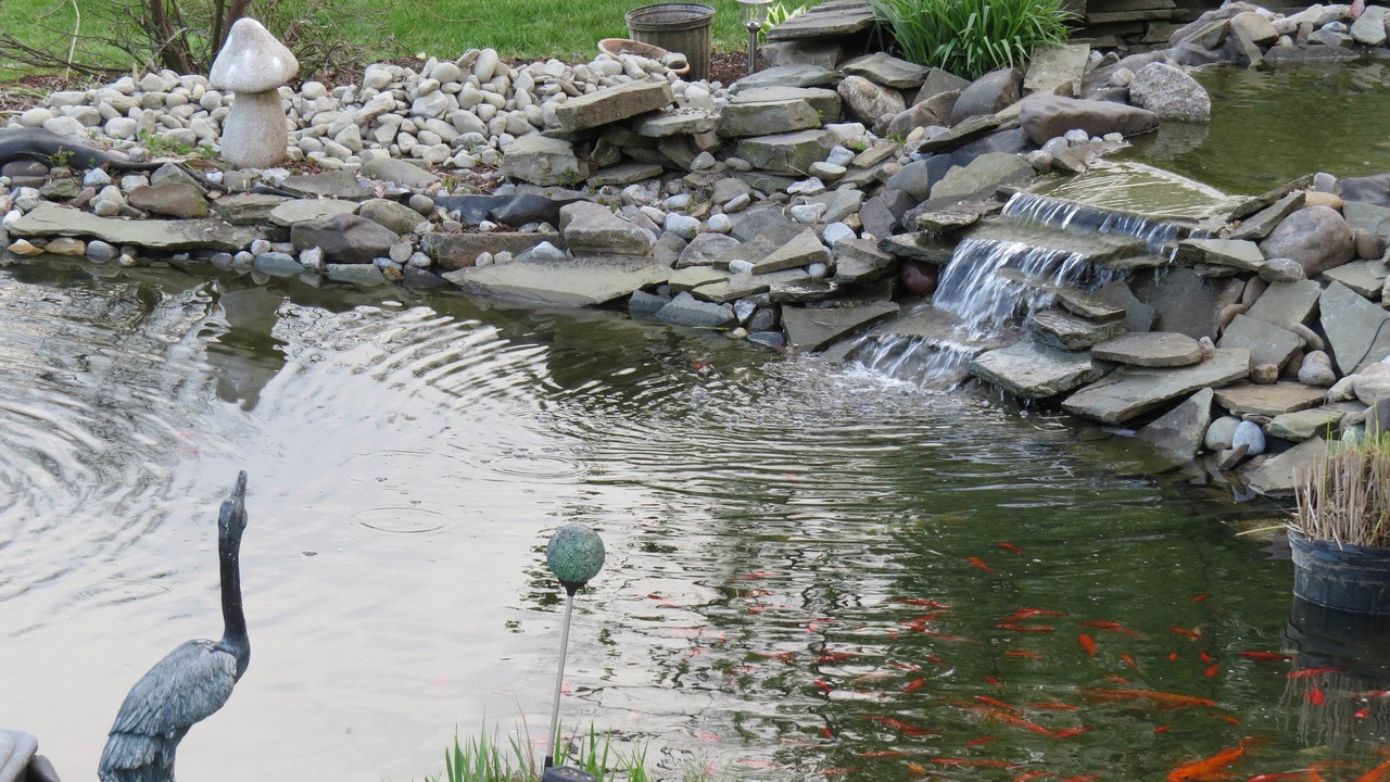 Photo of Outdoor in Ono