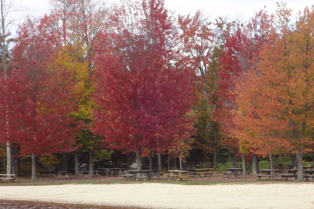 Photo of Outdoor in Locust Lake Village