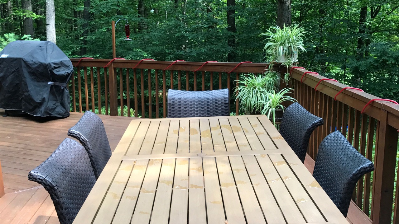 Photo of Outdoor in Claysburg