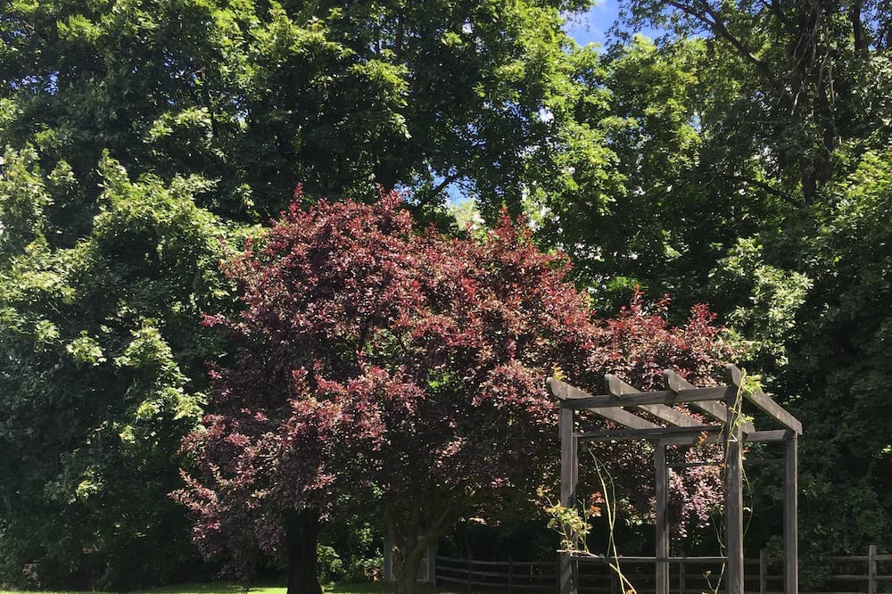 Photo of Outdoor in Macungie