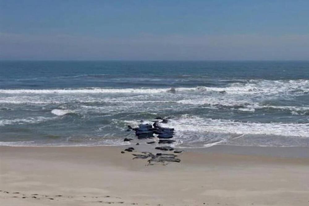Photo of Others in Harvey Cedars