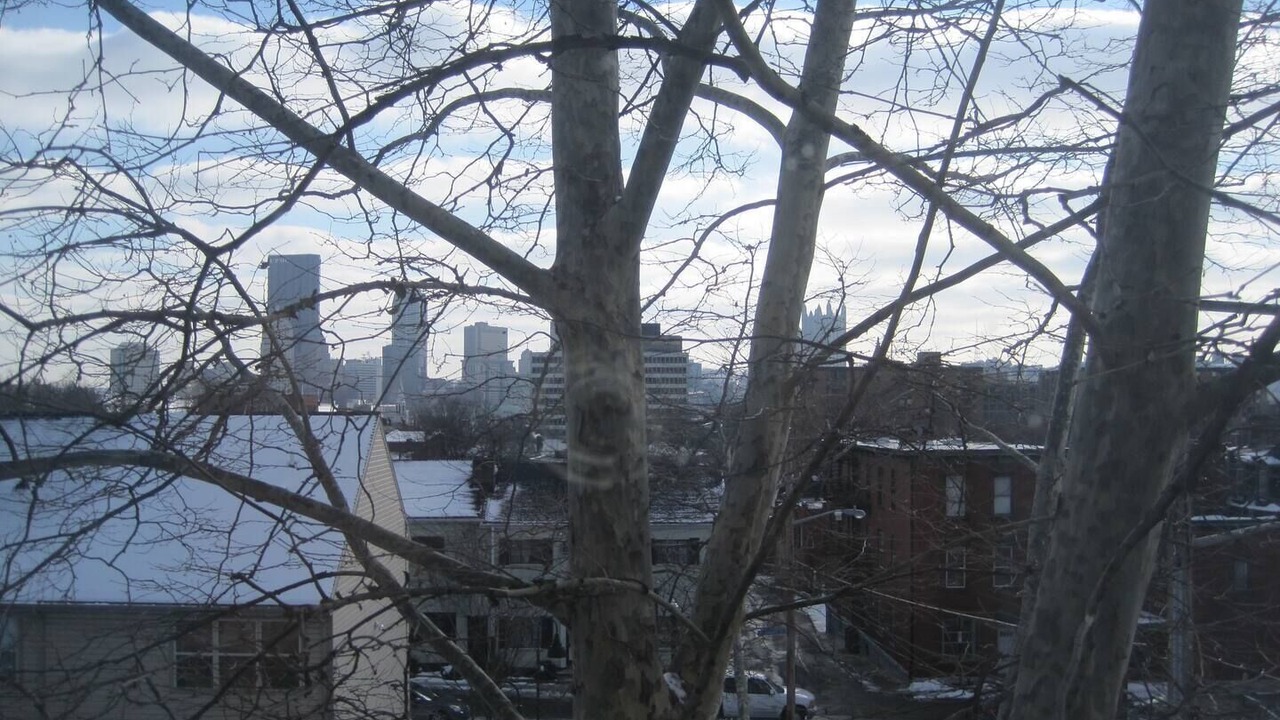Photo of Others in Central Northside