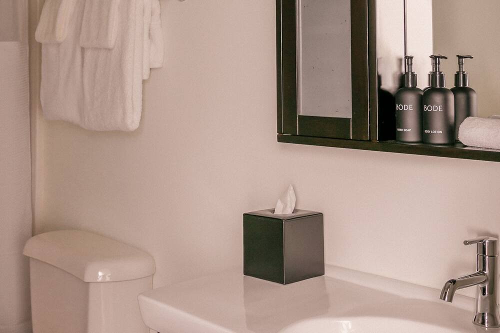 Photo of Bathroom in Downtown Chattanooga