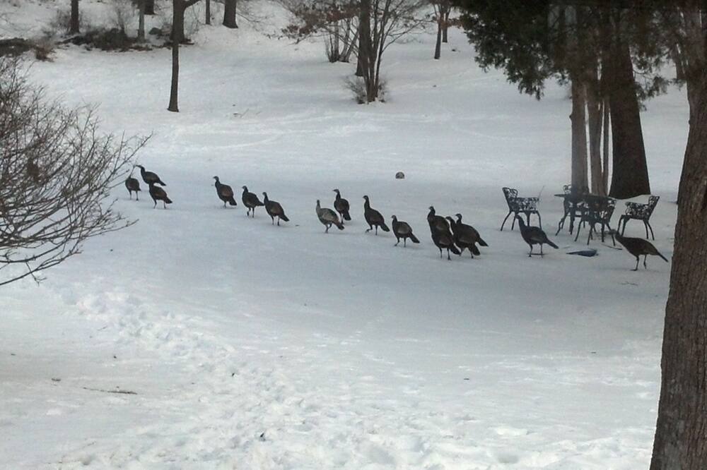 Photo of Others in Stroudsburg