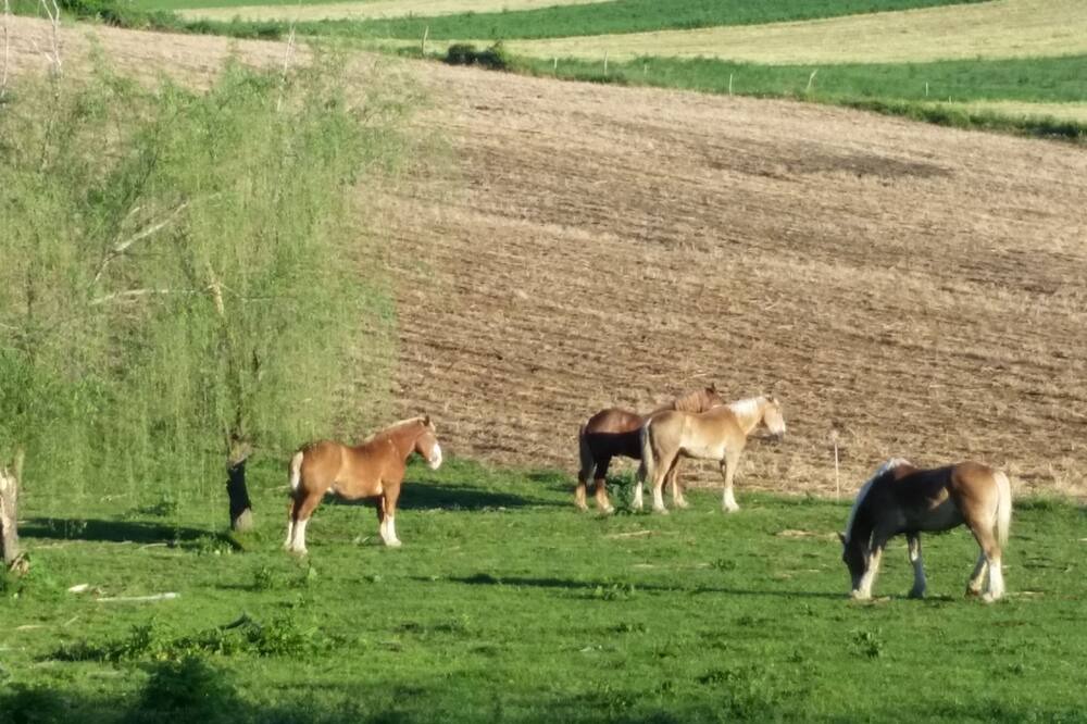 Photo of Others in Refton