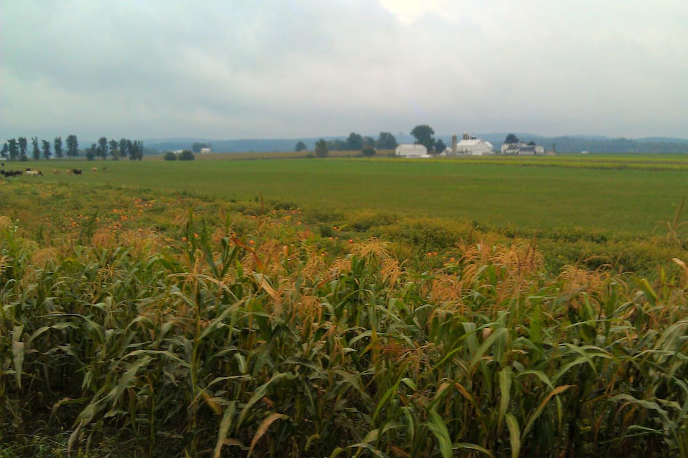 Photo of Others in Refton