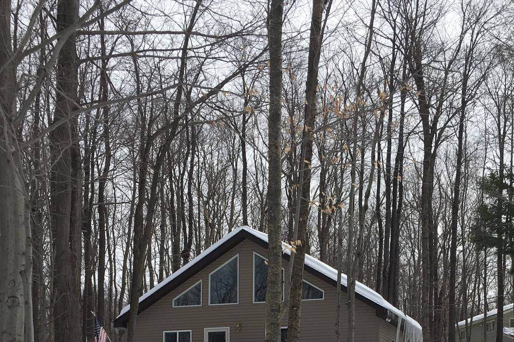 Photo of Others in Gouldsboro