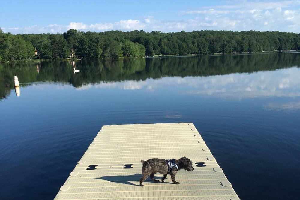 Photo of Others in Gouldsboro