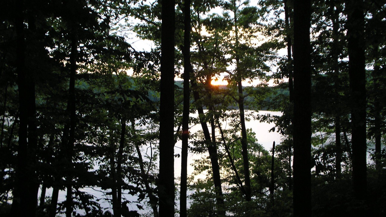 Photo of Outdoor in Glouster