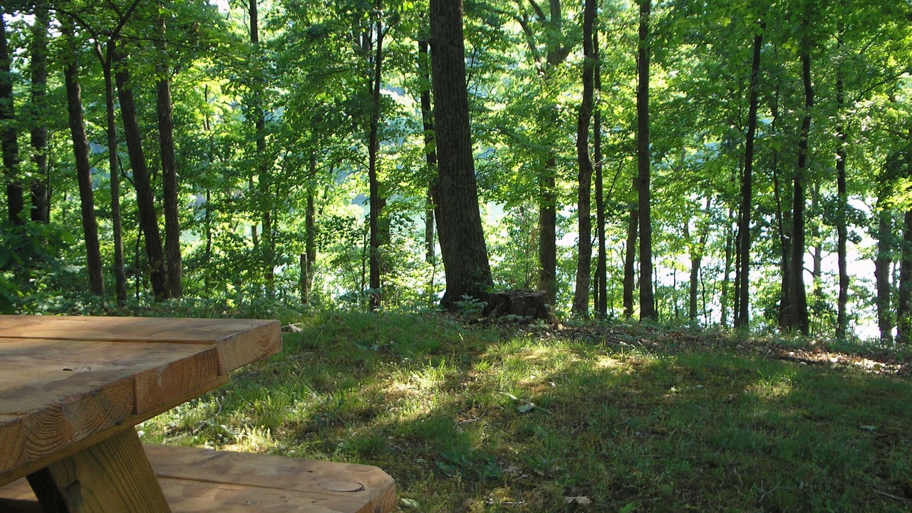 Photo of Outdoor in Glouster