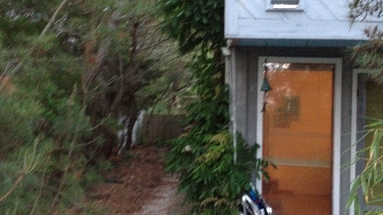 Photo of Outdoor in Barnegat Light