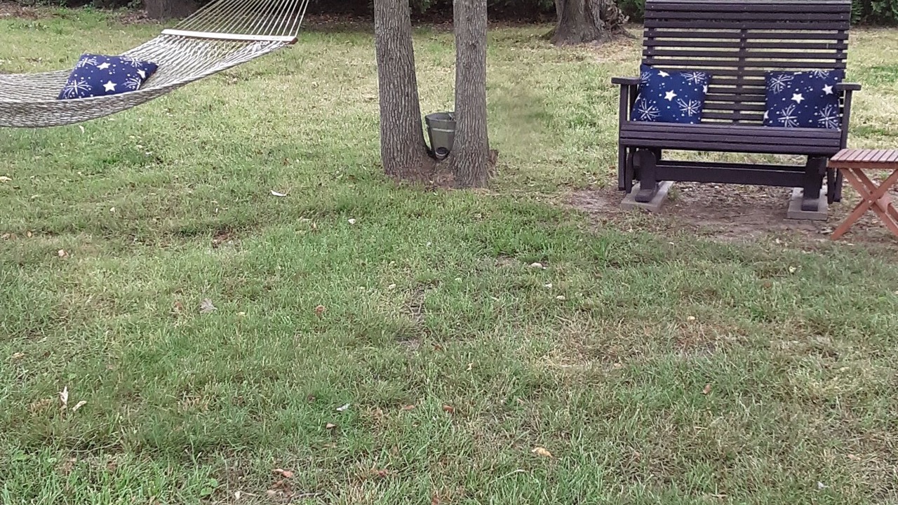 Photo of Outdoor in North Cape May
