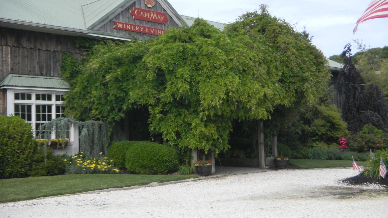 Photo of Outdoor in North Cape May