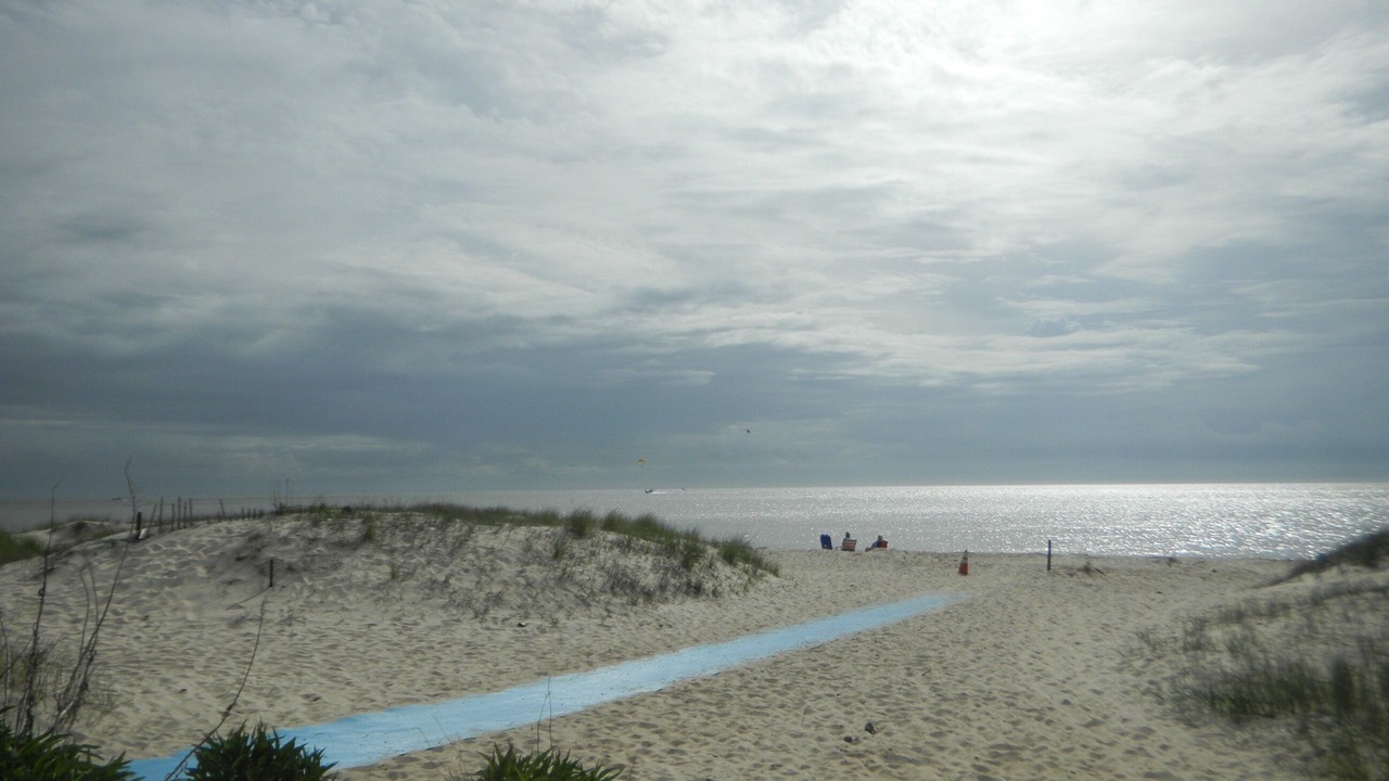 Photo of Others in North Cape May