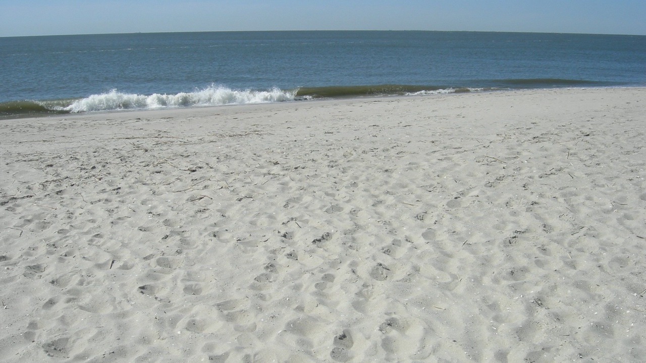 Photo of Outdoor in North Cape May