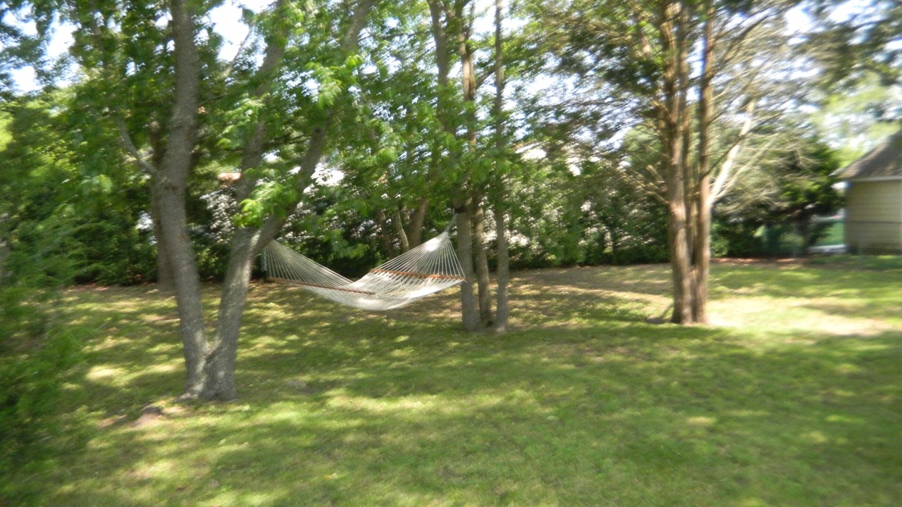 Photo of Outdoor in North Cape May